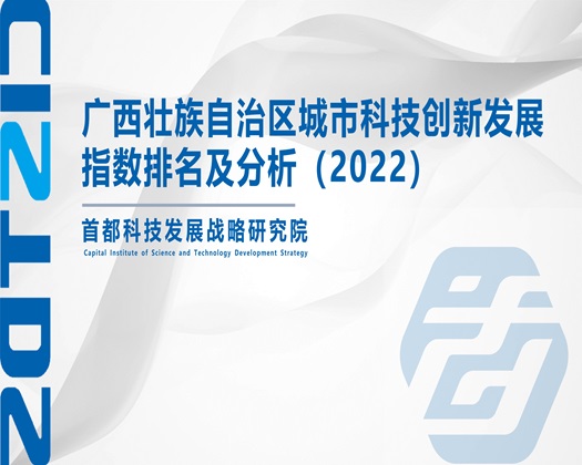 美女操逼免费看【成果发布】广西壮族自治区城市科技创新发展指数排名及分析（2022）